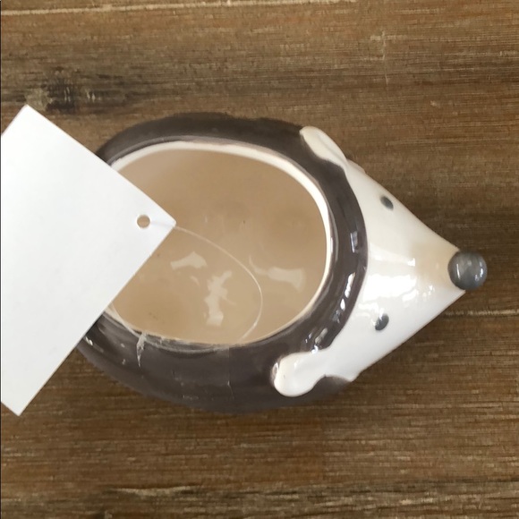 Mini planter HEDGEHOG NEW gift to hold stuff - Picture 4 of 5